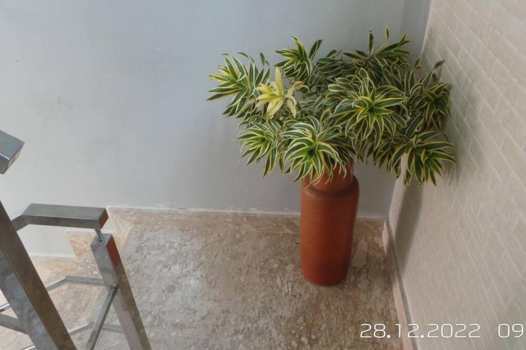카마사리 Excelente Casa Com Piscina 빌라 외부 사진